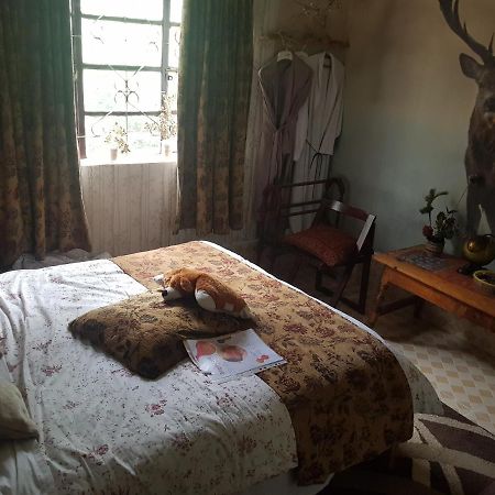 Sasana Motel And Guest House Bungoma Ngoại thất bức ảnh
