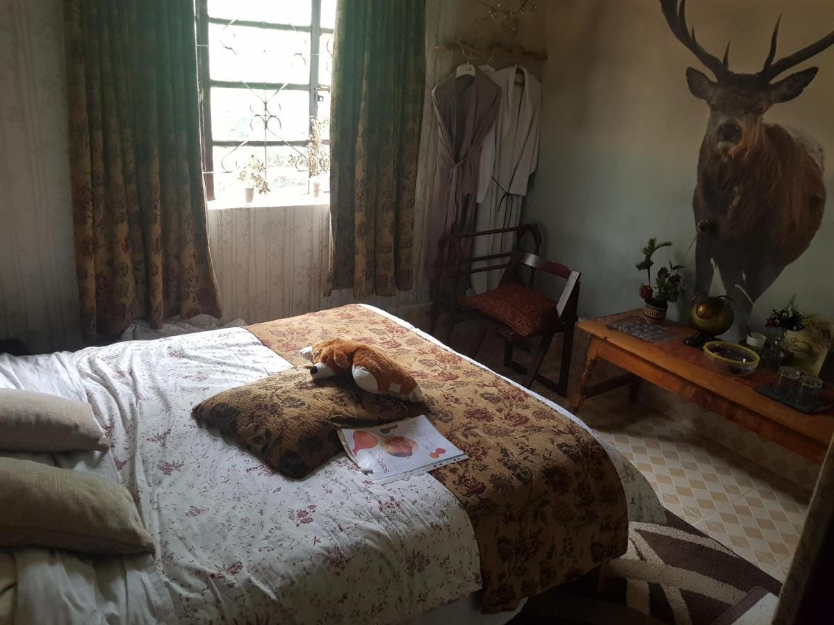 Sasana Motel And Guest House Bungoma Ngoại thất bức ảnh