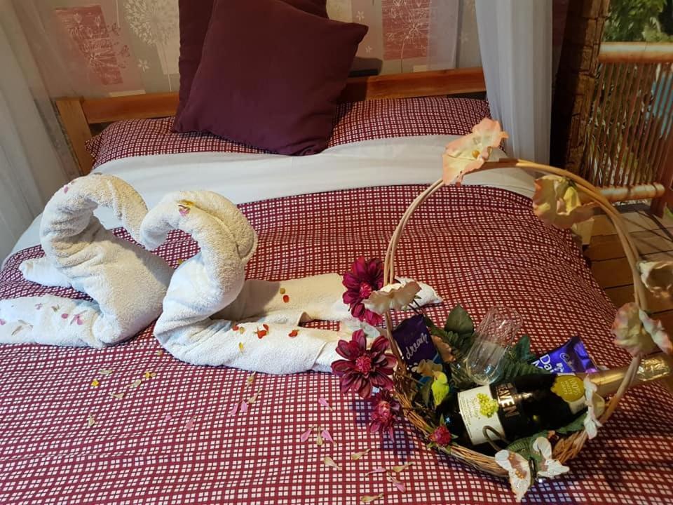 Sasana Motel And Guest House Bungoma Ngoại thất bức ảnh