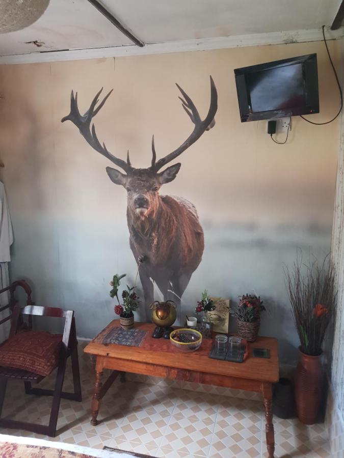 Sasana Motel And Guest House Bungoma Ngoại thất bức ảnh