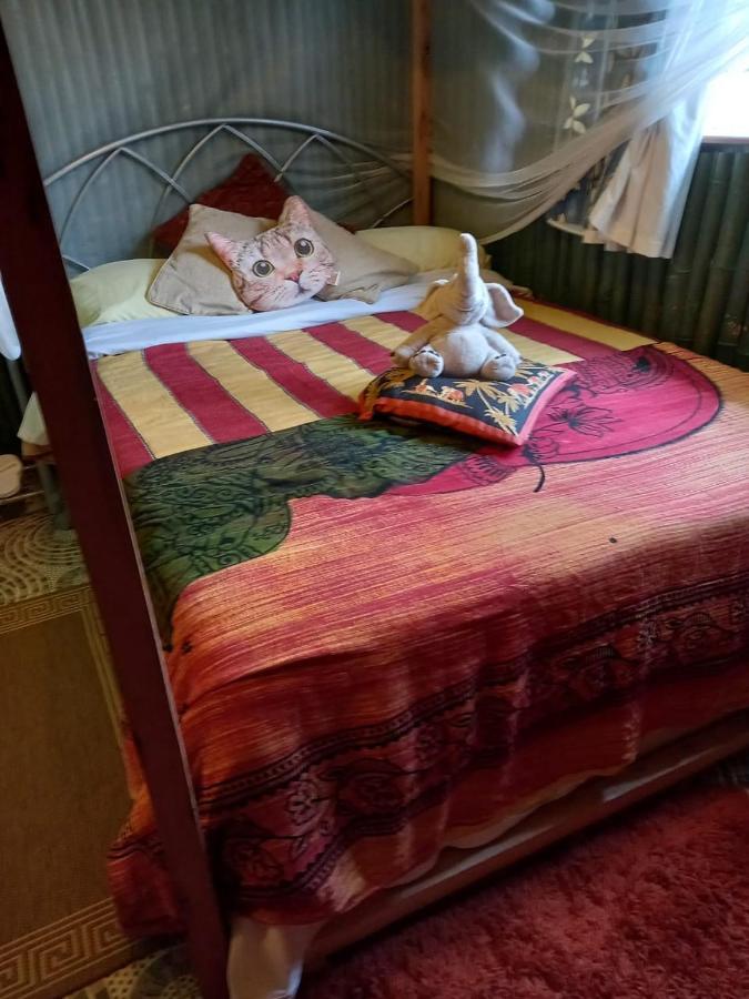 Sasana Motel And Guest House Bungoma Ngoại thất bức ảnh